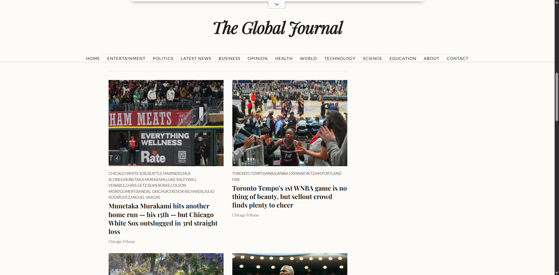News Site Preview 3
